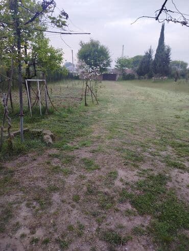 şirvan torpaq: 61 sot, Kənd təsərrüfatı, Kupça (Çıxarış) — 7