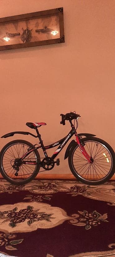 Uşaq arabaları: İki təkərli Uşaq velosipedi 24" — 3