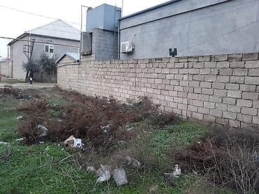 merdekanda: 6 sot, Makler — 3