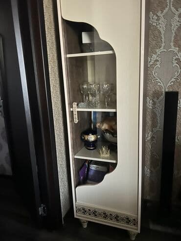 işlenmiş şkaf: Açılan, 1 qapı Düz dolab, Stenka — 2