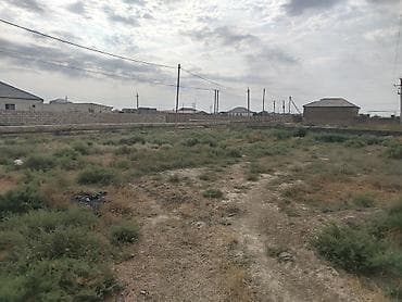 savalan torpag: 6 sot, Tikinti, Kupça (Çıxarış) — 6