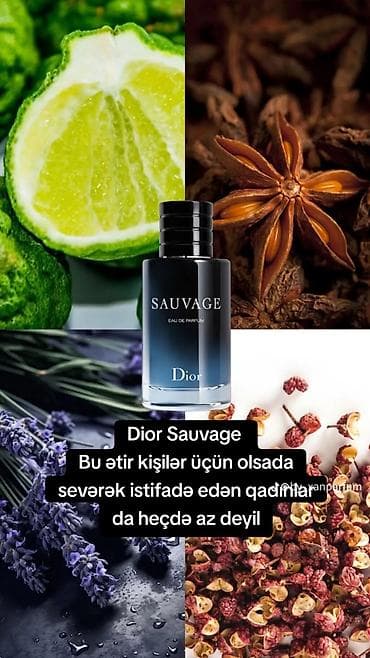 7 ci sinif dim testi pdf: Etrlerimiz her biri endirimdə yağ şəkilində satlsdla 3 gün qalclgl — 7