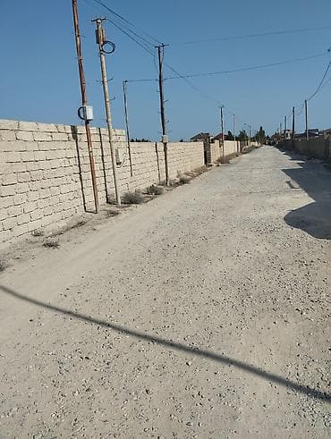 binə savxozda torpaq: Kənd təsərrüfatı — 5