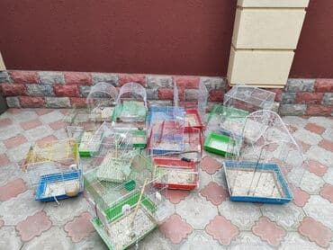 quş qəfəsləri: Quş qəfəsləri – müxtəlif ölçü lü 13 ədəddir. hamısını alana 60manat — 1