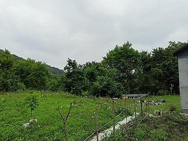 sekide satilan evler 2025: Vəndam, 100 kv. m, 3 otaqlı, Hovuzsuz, İşıq — 9