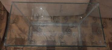 pulsuz pişik balaları: Şüşə akvarium - Material: şəffaf şüşə, künclər - Forması: düzbucaqlı — 2