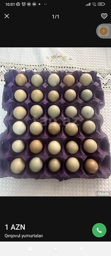 yumurta qiyməti: Məhsul: Qırqovul yumurtaları Təsvir: - Təxminən bıldırcın ölçüsünə — 1