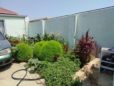 mingecevirde ev satilir: Aşağı Güzdək 2 otaqlı, 70 kv. m, Yeni təmirli — 11