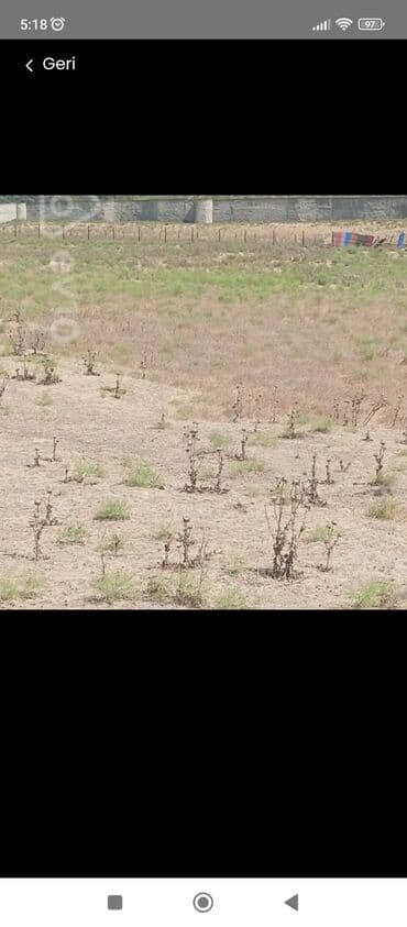 goradil torpaq satilir: 41 sot, Kənd təsərrüfatı, Mülkiyyətçi, Kupça (Çıxarış) — 5