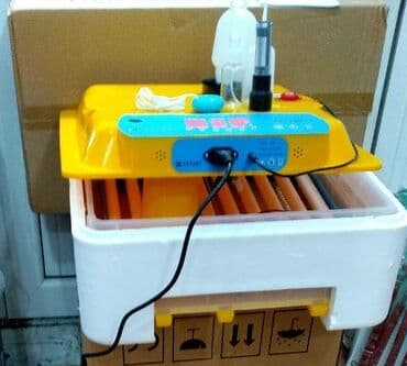 bütün kateqoriyalar: Çin, Fabrik istehsalı, Bütün növ quşlaq üçün, Azərbaycan dilində təlimat — 5