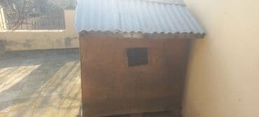 Рыбы: Iri it yuvasi at lalafo.az — 3 Рыбы: Iri it yuvasi — 3