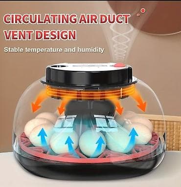 WONEGG avtomatik inkubator – quş və sürünən yumurtalarının çıxarılması