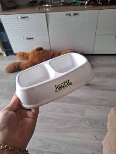 şotlant pişiyi: Erkək — 5