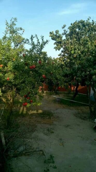 sabunçu kiraye ev: Sabuncu rayonu, Sabuncu qesebesi,MSOIL Petrolun yaninda genis heyeti — 16
