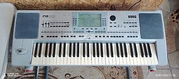 saatlar type 0: Korg Pa50 sadədir USB emulatorla (fleşkartla) işləyir. Disketlə olan — 2
