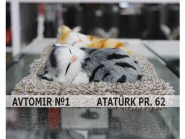 Dekorativ heyvanlar panel ucun 🚙🚒 ünvana və bölgələrə ödənişli