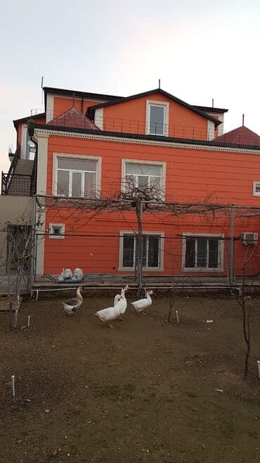kafel modelleri: İsti aqlay (Termo aqlay) şok şok şok Qiş endirimləri Başladi, 1.95 azn — 20