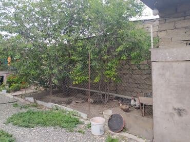 qubada satiliq evler: Ramana qəs. 3 otaqlı, 100 kv. m, Kredit yoxdur, Yeni təmirli — 7