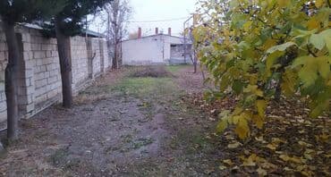 pirşağı torpağ: 10 sot, Biznes üçün, Mülkiyyətçi, Kupça (Çıxarış) — 7