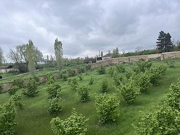 4 sot, Kənd təsərrüfatı, Mülkiyyətçi