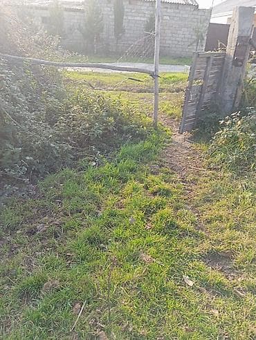 torpaqlarin satisi: 12 sot, Tikinti, Barter mümkündür, Kupça (Çıxarış) — 3