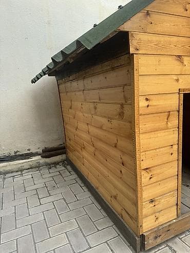 cixuaxua iti: Taxta it evi - Material: təbii ağac panellər, möhkəm karkas - Ölçü — 3