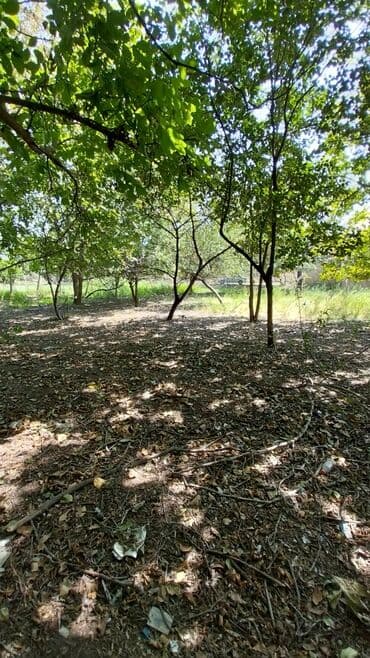 binə atçılıq torpaq satılır: 8 sot, Tikinti, Maklerlər narahat etməsin, Kupça (Çıxarış) — 9