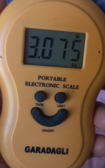 dash yunu qiymeti: 5.320 kq 30 Azn 4.135 kq 25 Azn 3.075 kq 20 Azn 3.505 kq 27 Azn teze — 7