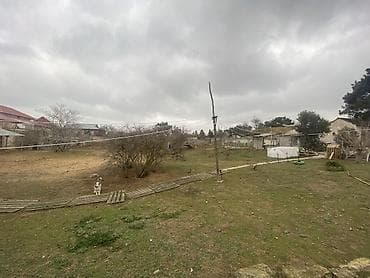 torpag satisi: 46 sot, Biznes üçün, Maklerlər narahat etməsin, Kupça (Çıxarış) — 4