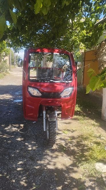 Yükdaşıma üçün qapalı kabinəli 3 təkərli motosiklet (tricikl) - Rəng
