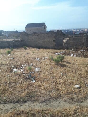 findiq agaci satilir: 4 sot, Tikinti, Mülkiyyətçi, Bələdiyyə — 4