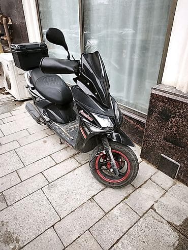 Транспорт: - FREEDOM 50 см3, 2024 год, 3300 км — 5