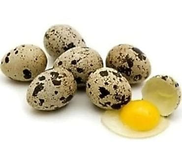 qızıl balıq qiyməti: BILDIRCIN YUMURTASI 15 QEPIK.UNVAN BINE SAVXOZ — 4