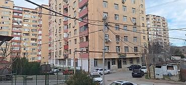 bine atçılıq: İcarə və Satiş Qiymət münasibdir. Danışığa uyğun raziliq olacaq — 3