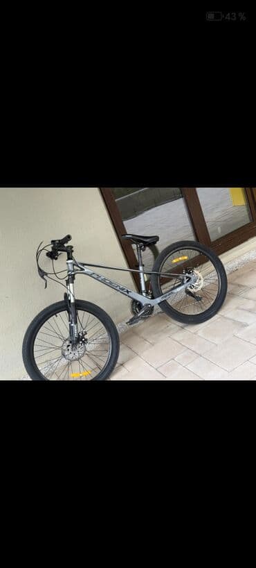 Phoenix dağ velosipedi - Çərçivə: Alüminium, gri rəng, idman yönümlü