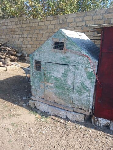 goyərcin yuvaları: Taxta quşxana/yuvalıq - Material: taxta və metaldan hazırlanmış — 1