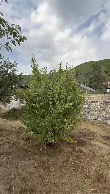 qara qarayev m kiraye menziller: 4 sot — 4