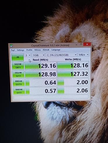 Korpuslar: Daxili Sərt disk (HDD) Western Digital (WD), 512 GB, 7200 RPM, 3.5", İşlənmiş — 2