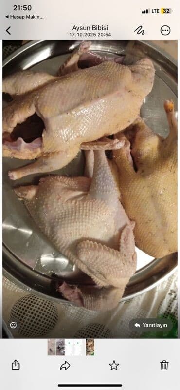 Təmizləmiş ördekler yağli əla kök heyvanlardir 1800.kq-1900 kq 2