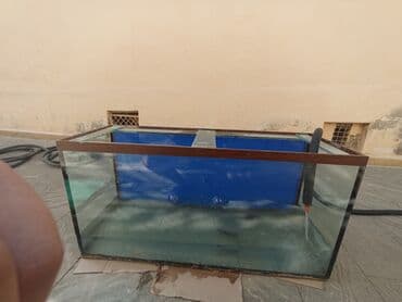 Bu akvarium evdə və ya ofisdə akvatik həyat üçün uyğundur. Şüşə