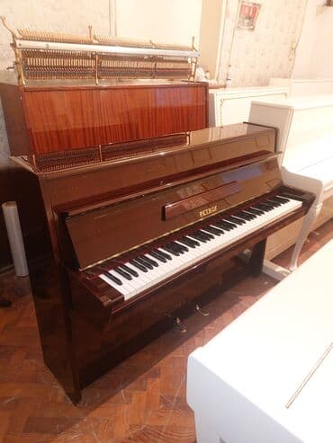 piano dersleri baki: Pianino PETROF Cexiya stehsalı. İdeal vəziyyədə. Cadrılma və köklənmə — 3