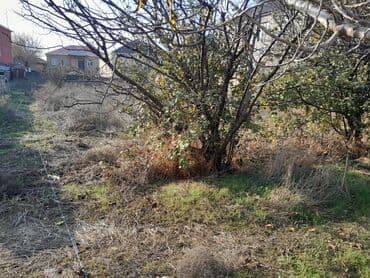 araz supermarket neftciler: 3 sot, Tikinti, Mülkiyyətçi, Kupça (Çıxarış) — 5