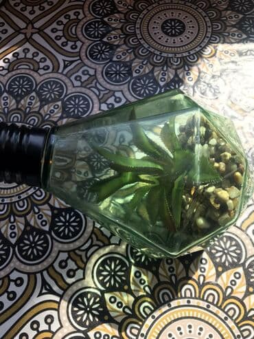 rengli lampalar: Lampa — 6