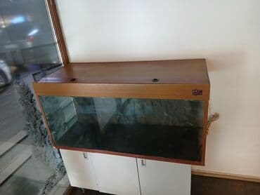 ağ balıq: Akvaryum dəsti – şkaflı - Şüşə akvaryum, ön və yan tərəflər şəffaf — 3