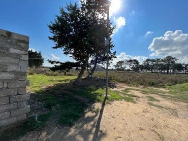 ellada sadliq sarayi unvani: Tikinti — 2