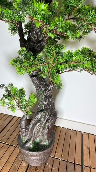 budda: Süni bonsai ağacı – dekorativ içməkan yaşıllaşdırma üçün - Realistik — 16