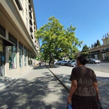 mingecevir kiraye ev: Gənclik metrosundan 10 dəq piyada məsafədə Atatürk prospektində — 2