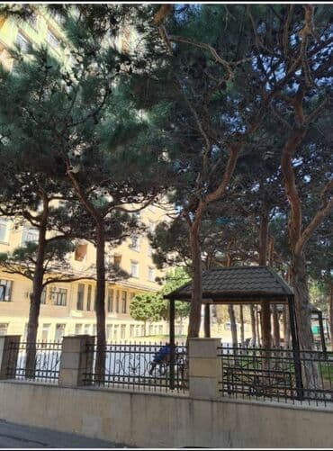 lokbatanda yeni tikilen binalar: 3 otaqlı, Yeni tikili, m. Elmlər Akademiyası, 106 kv. m — 19