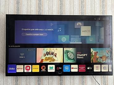 Televizor LG NanoCell 55" 4K (3840x2160)