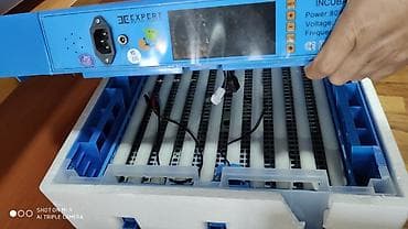 ınqbator: Çin, Fabrik istehsalı, Tam avtomat, Bütün növ quşlaq üçün — 9